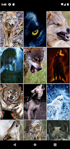Captura de Pantalla 3 Fondos de animales depredadore android