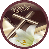 Bible Audio icon