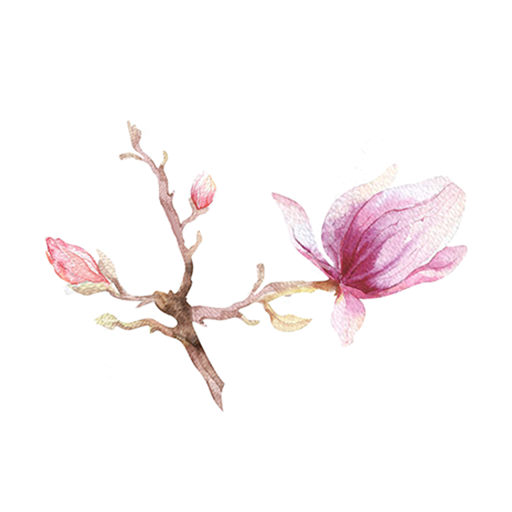 Mindal mind body logo