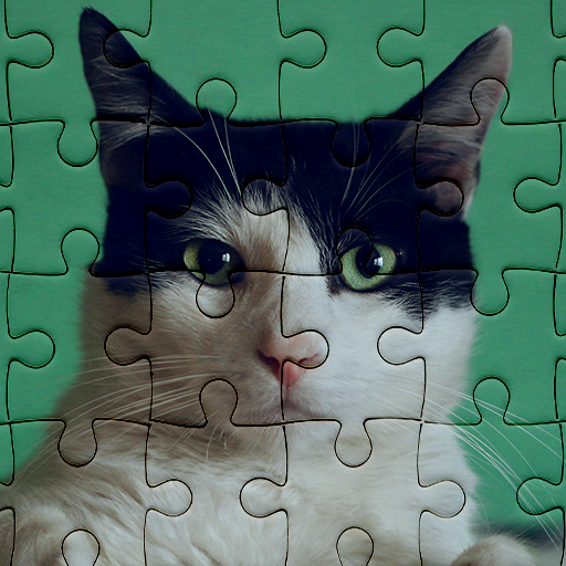 Animal Puzzle: Fun Jigsaw Game
