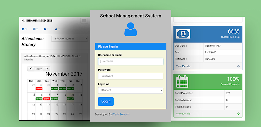 The Punjab School System