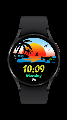 Pars Tropic Digital V2 Screen 3