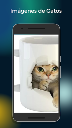 Imágenes de Gatos Screen 3