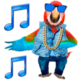 Dancing Talking Parrot icon