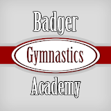 Badger Gymnastics icon