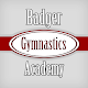 Badger Gymnastics Laai af op Windows