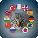 Cat Voice Translator Simulator icon