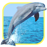 Oceans Elf: Dolphins icon