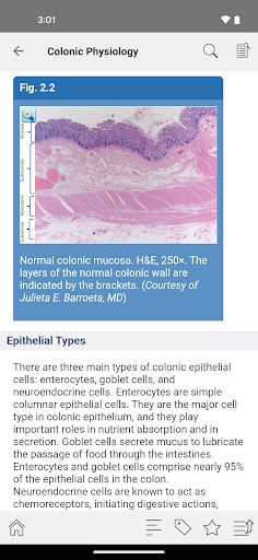Screenshot of ASCRS U: Colorectal Surgery