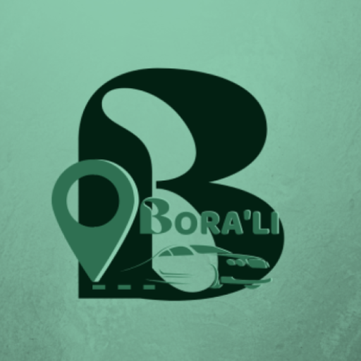 BORALI DRIVER PASSAGEIRO logo