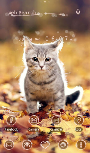 Kitten Autumn Theme HOME
