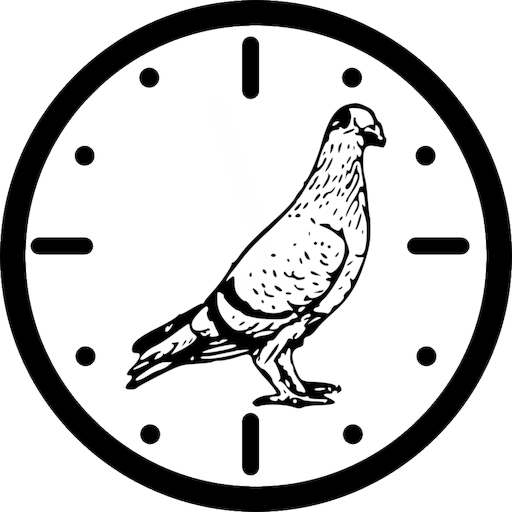 Pigeon Velocity Calculator logo