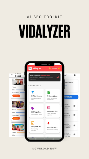 Vidalyzer: YouTube & IG SEO screenshot 4