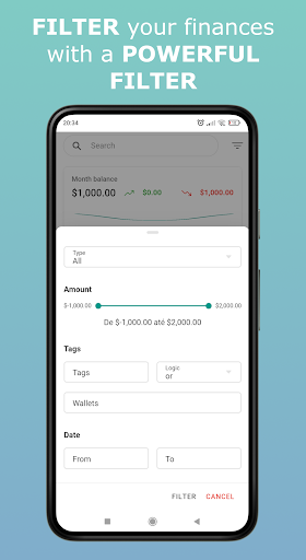 Ion Finances Screen 3