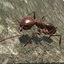 Ant Simulation 3D: Download & Review