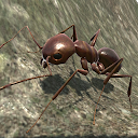 Ant <span class=red>Simulation</span> 3D - Insect Survival Game