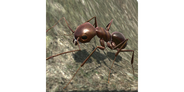 Ant Simulation 3D - Insect Sur - Apps on Google Play