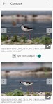 screenshot of Photo Compare