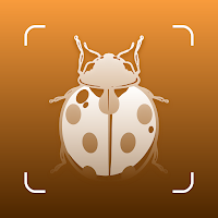 Insect ID - Bug identifier app
