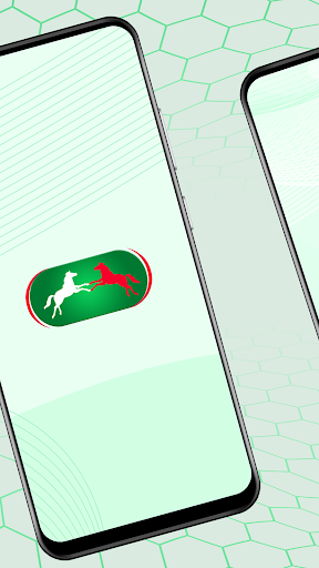 PMU penguin Screen 3