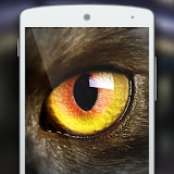 Meow: Cat Eyes Vision Joke icon