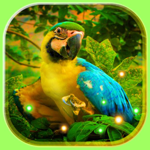 Bright Parrots Live wallpaper