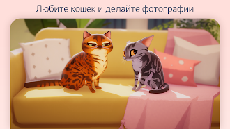 Game screenshot Кошачий клуб: Собирайте котят mod apk