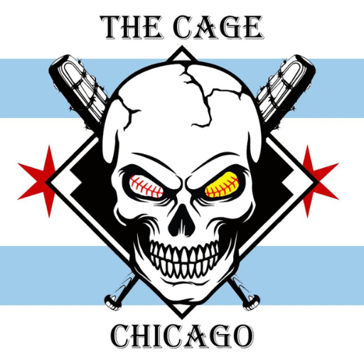 The Cage Chicago 1.0 Icon