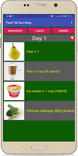 Fast Fat Burning Diet Plan Screen 2