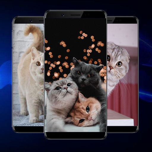 Kitten Wallpapers logo