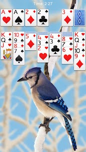 Free Solitaire 5