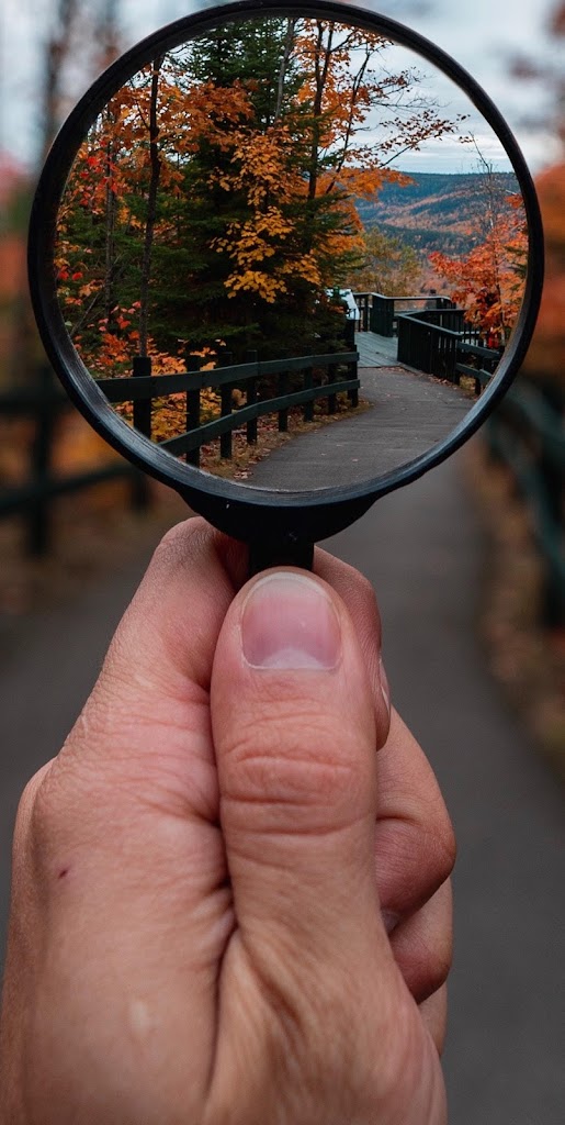Loupe Gratuite Pour Android Apk Telecharger Loupe Gratuite Pour Android Apk Telecharger