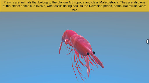 Diversity in Living:Arthropoda Screen 2
