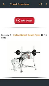Gym Workout & Exercises Full B