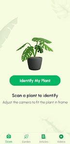 Captura 2 Identificar plantas en Español android