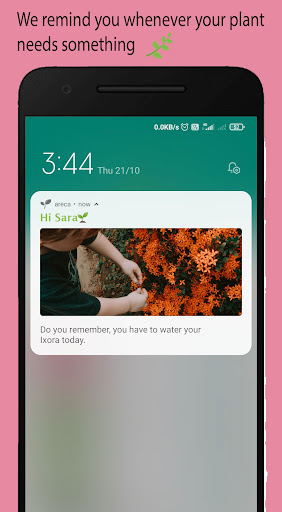 Plant Care App / Reminder Screen 3