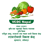 Cover Image of Download VCDC Nepal  APK