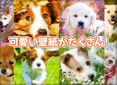 犬の可愛い壁紙 Google Play のアプリ