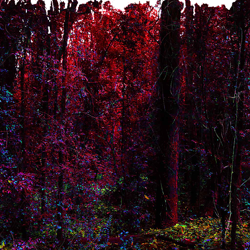 Bosque Mustakis Screen 3