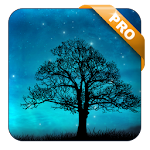 Cover Image of Download Dream Night Pro Live Wallpaper  APK