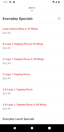 A1 Pizza & Wings Screen 3