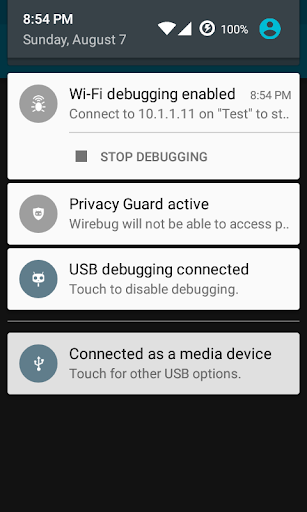 Wirebug Screen 3
