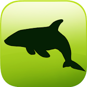 Top 29 Books & Reference Apps Like ARCOCEAN - ARC OCEAN AR - Best Alternatives