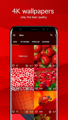 Screenshot of Red Wallpapers 4K