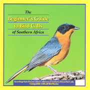 Beginner's Guide to Bird Calls
