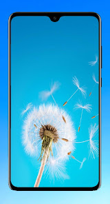 Screenshot 5 Dandelion Wallpaper HD android