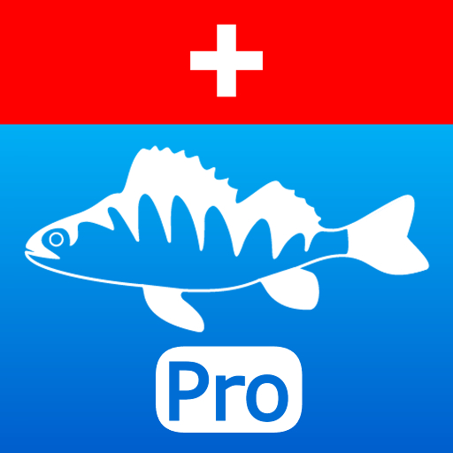 SaNa Fischerprüfung 2024 - Pro Download on Windows