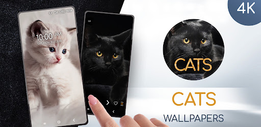 猫と壁紙4k Google Play のアプリ