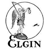 Elgin Parking icon
