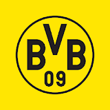 BVB icon